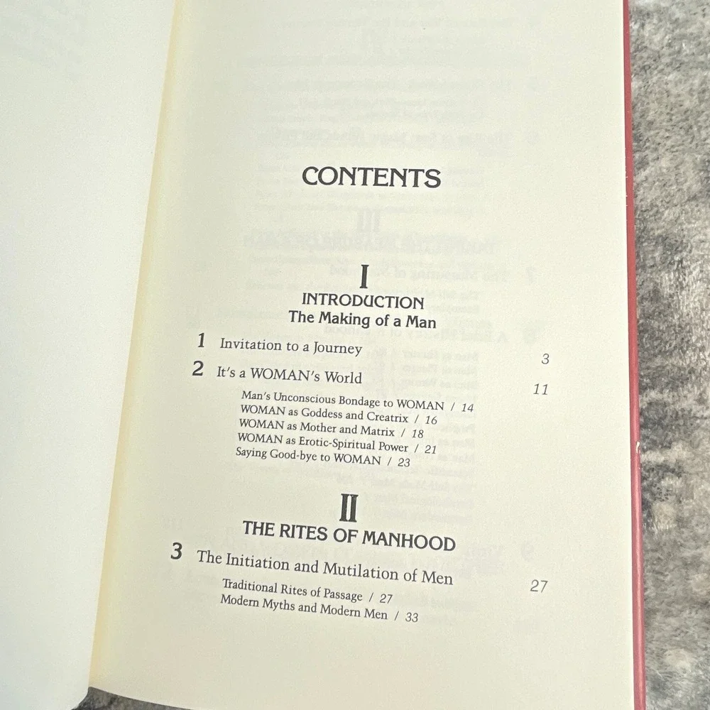 Fire in the Belly‎ Book 1st Ed 1991 Psychology Sam Keen Men OS Red Manhood
